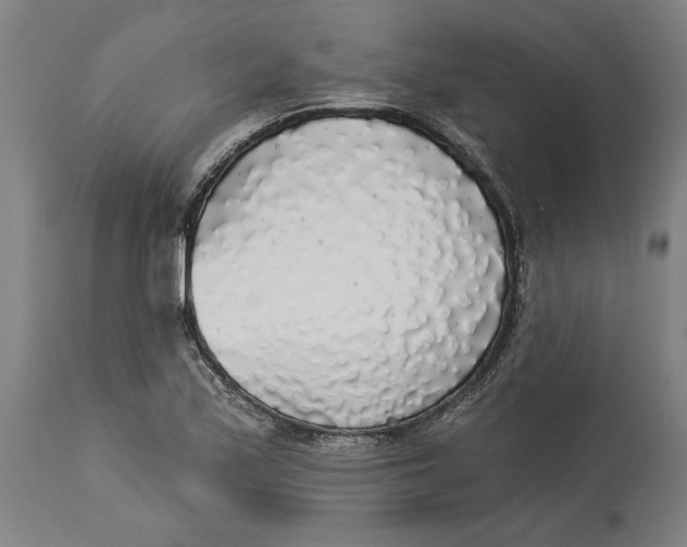 X0000114551171200911091149