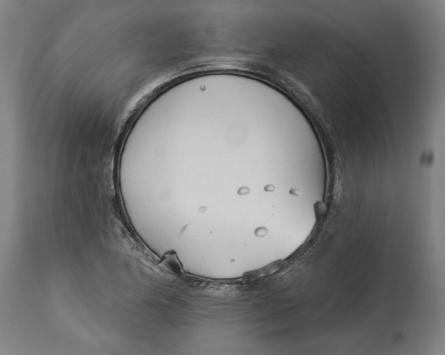 X0000114551174200911091149
