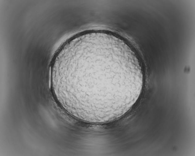 X0000114551175200911091149