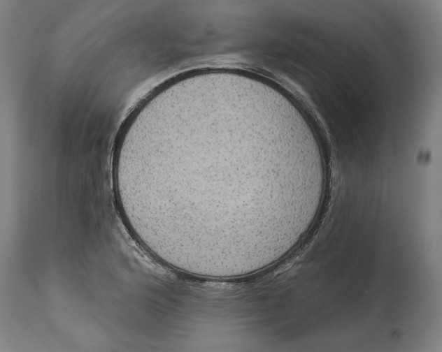 X0000114551176200911091149