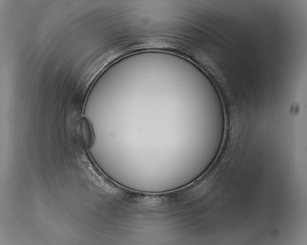 X0000114551177200911091149