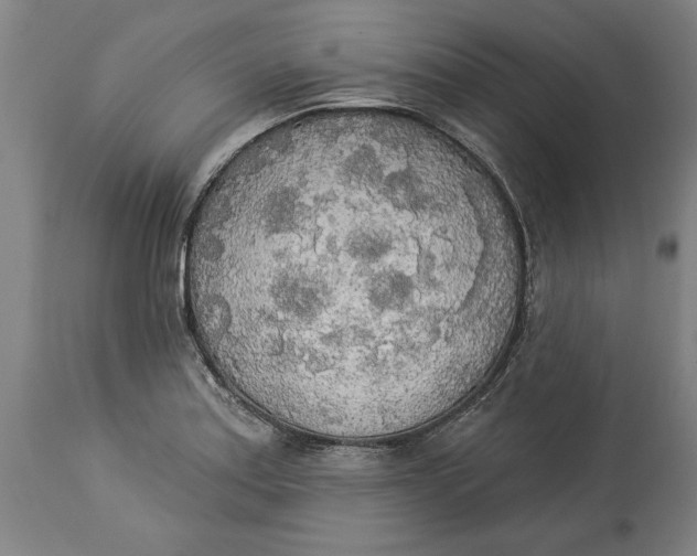 X0000114551179200911091149