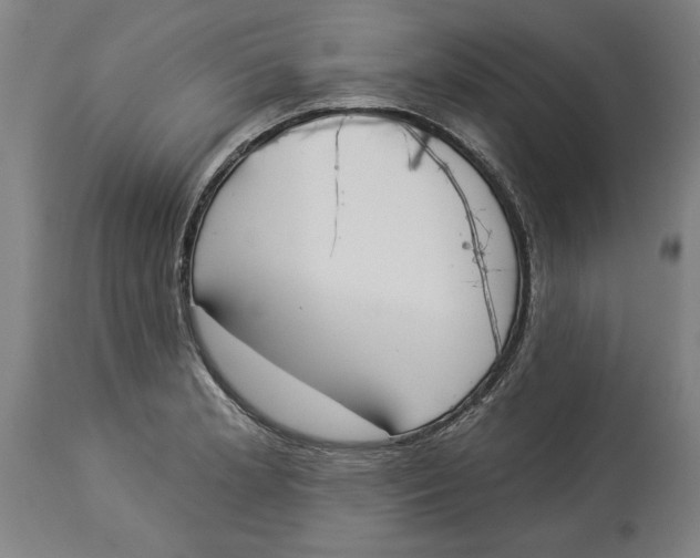 X0000114551181200911091149