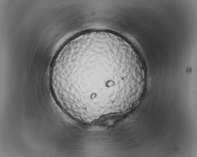X0000114551183200911091149