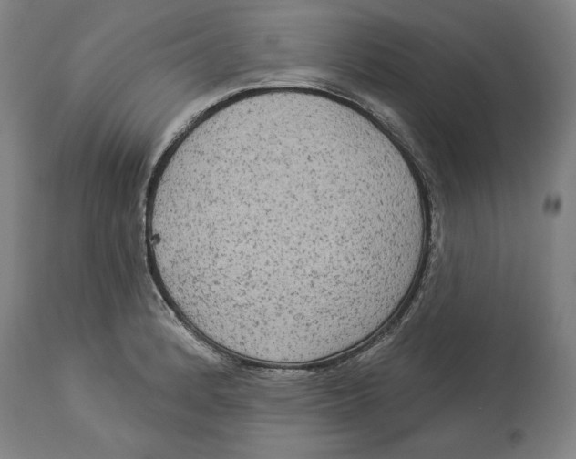 X0000114551184200911091149