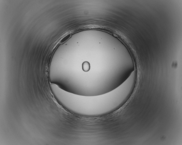 X0000114551185200911091149