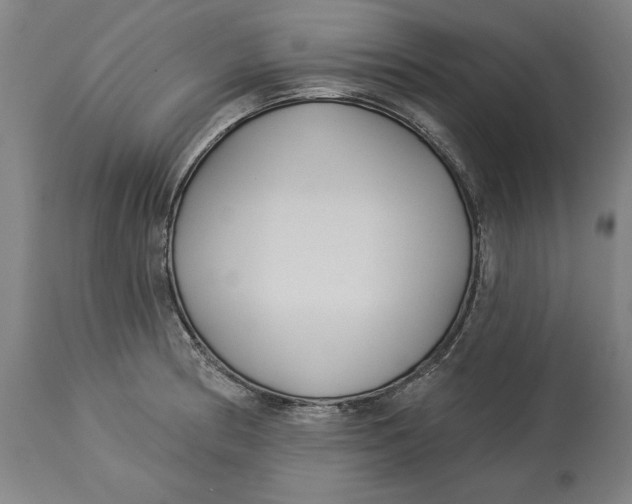 X0000114551186200911091149