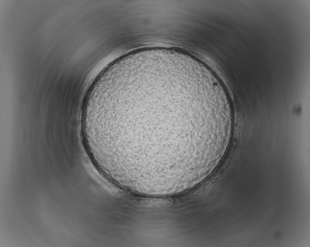 X0000114551187200911091149