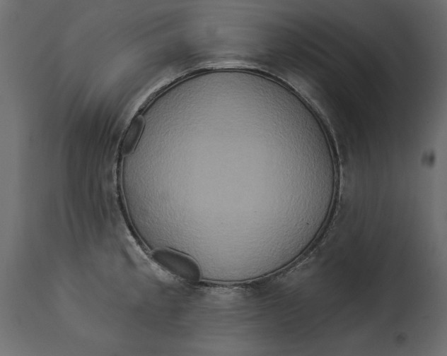 X0000114551189200911091149