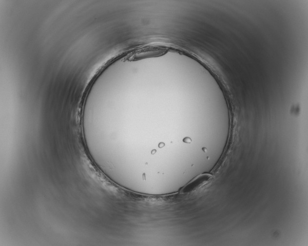 X0000114551190200911091149