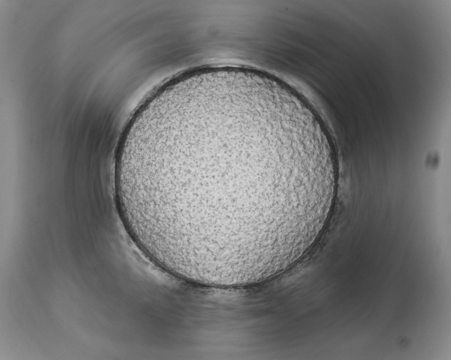 X0000114551191200911091148