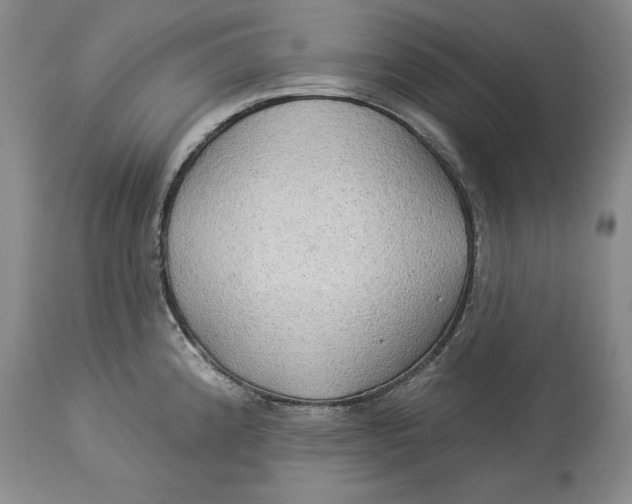 X0000114551192200911091148