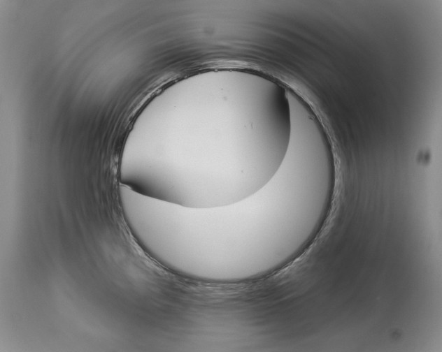 X0000114551193200911091148