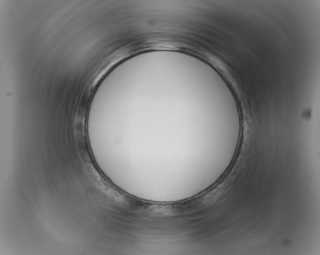 X0000114551194200911091148