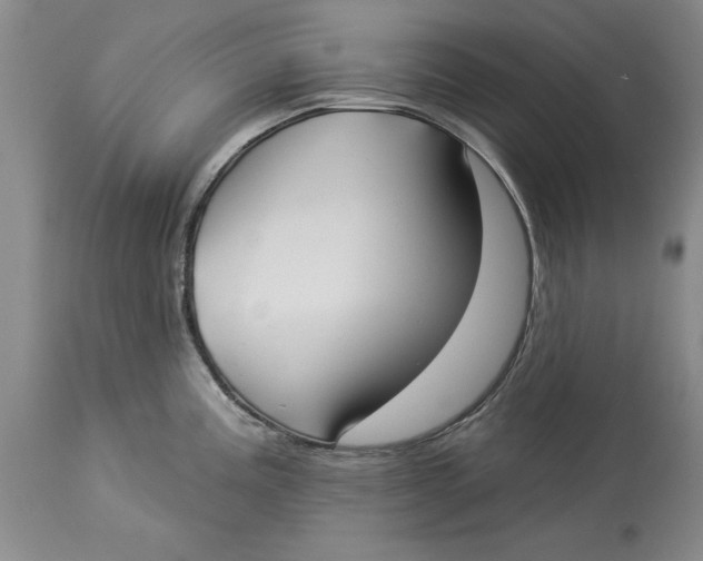 X0000114551195200911091148