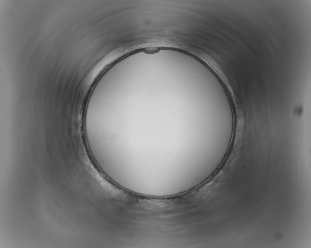 X0000114551197200911091148