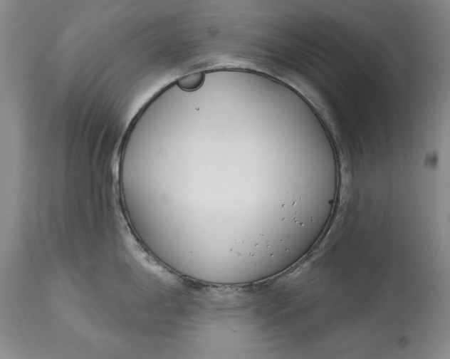 X0000114551198200911091148
