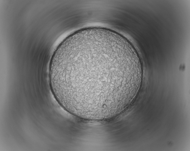 X0000114551199200911091148