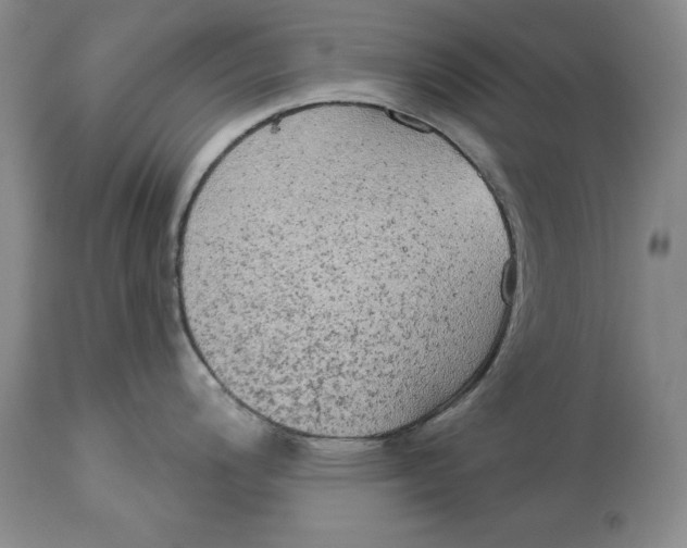 X0000114551200200911091148