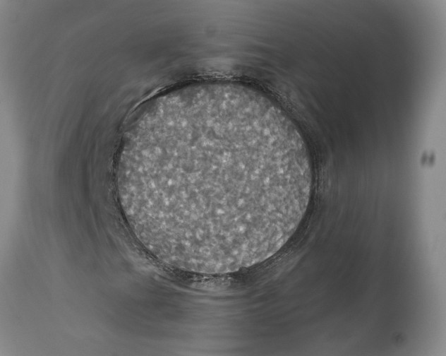 X0000114551201200911091147