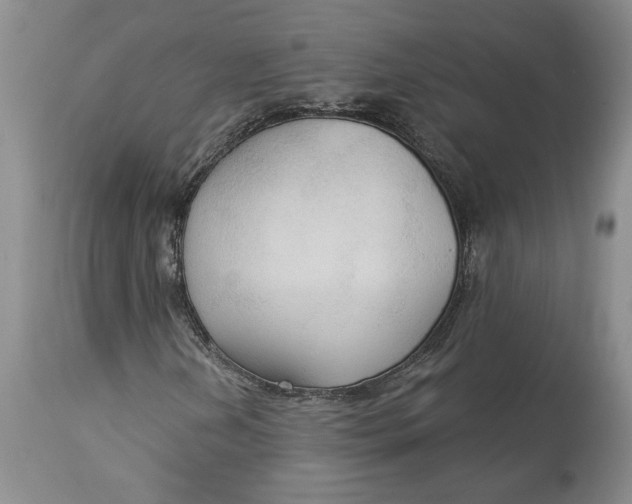 X0000114551202200911091147