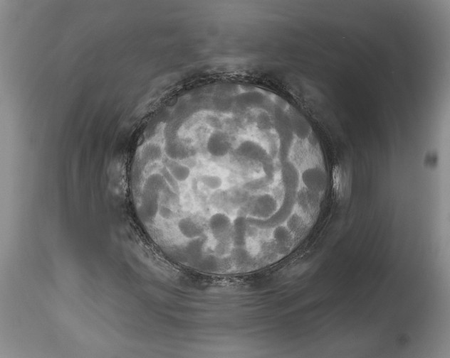 X0000114551203200911091148
