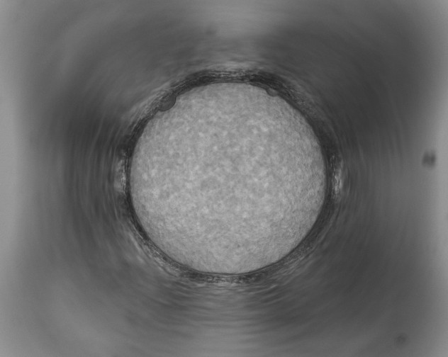 X0000114551204200911091148