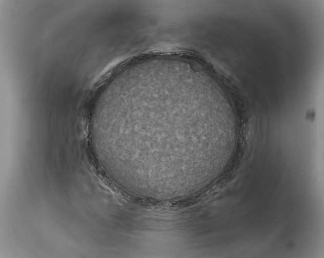 X0000114551206200911091148