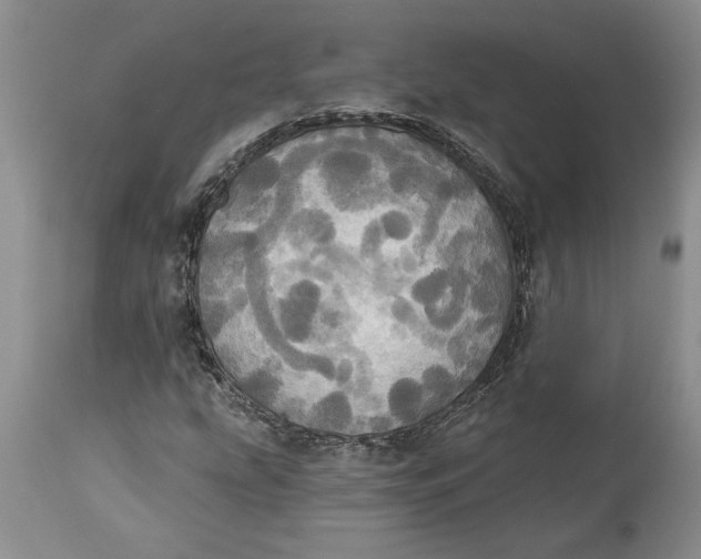 X0000114551207200911091148