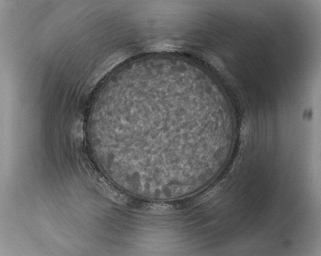 X0000114551209200911091148