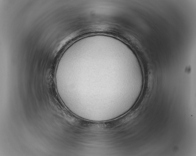 X0000114551210200911091148