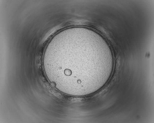 X0000114551211200911091148