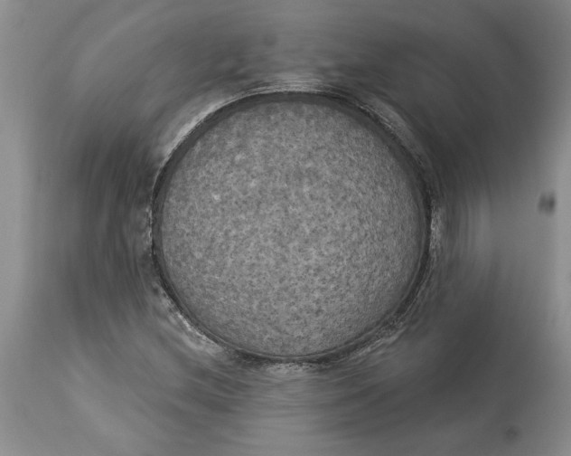 X0000114551212200911091148
