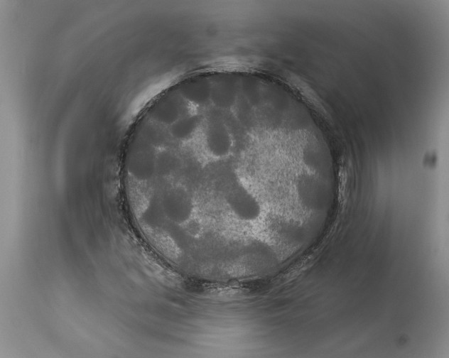 X0000114551213200911091148