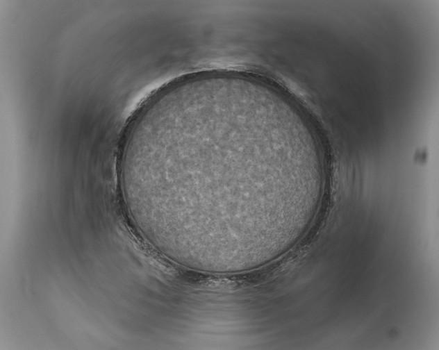 X0000114551214200911091148
