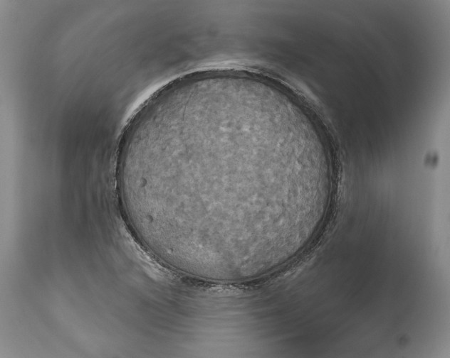 X0000114551216200911091148