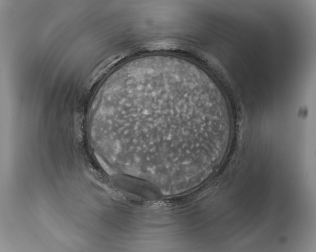 X0000114551217200911091148