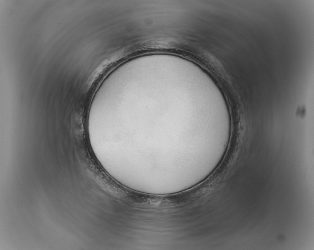 X0000114551218200911091148