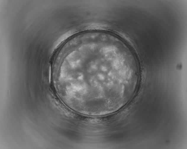 X0000114551219200911091148