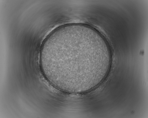 X0000114551220200911091148