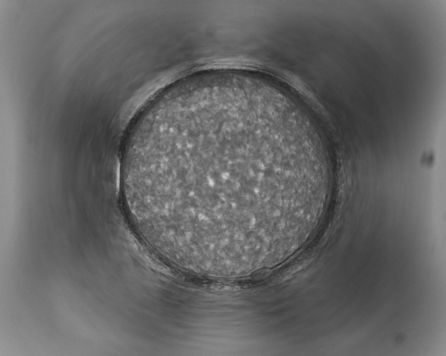 X0000114551221200911091148