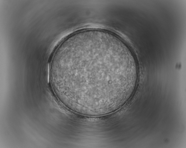 X0000114551223200911091148
