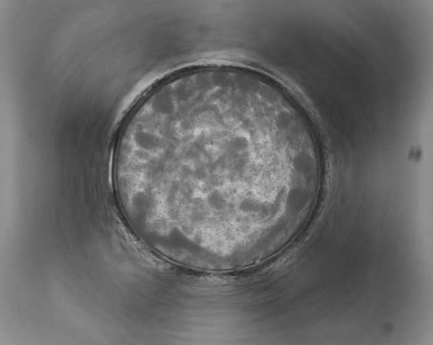 X0000114551224200911091148