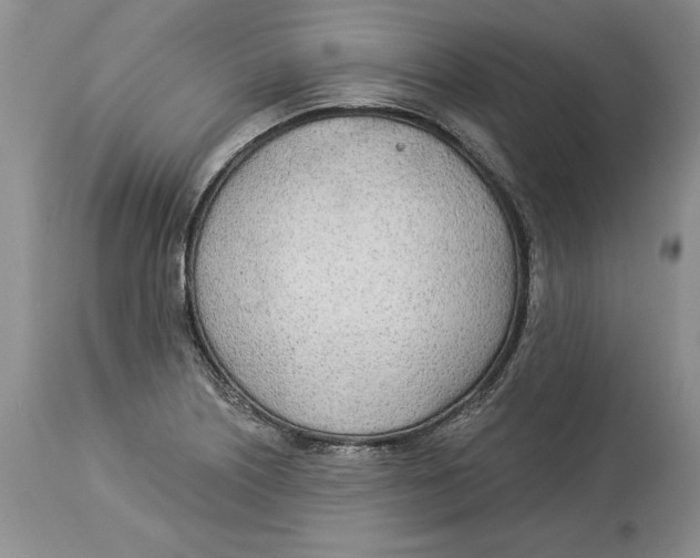 X0000114551226200911091148