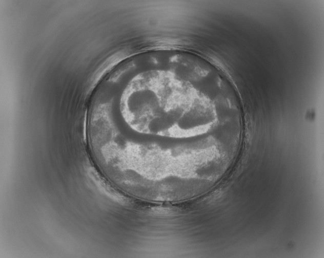 X0000114551227200911091148