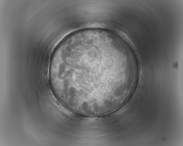 X0000114551228200911091148