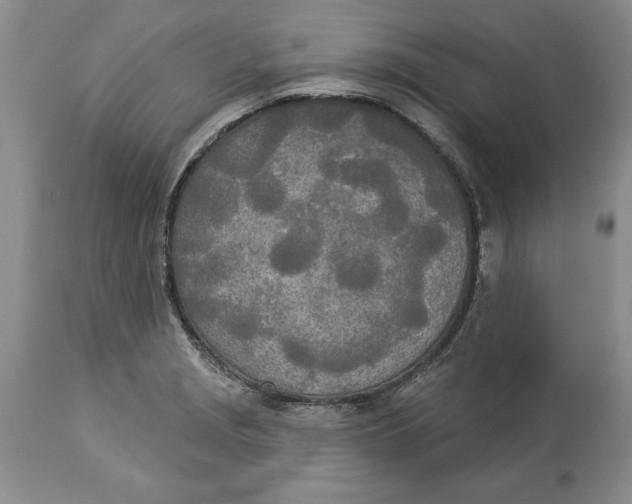 X0000114551229200911091148