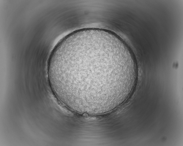 X0000114551230200911091148