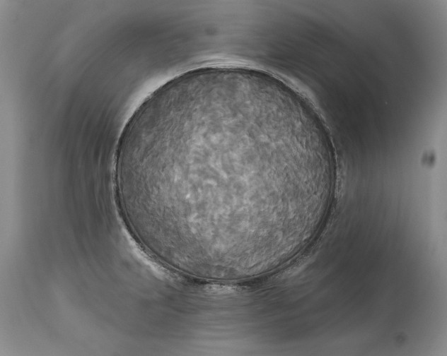 X0000114551231200911091148