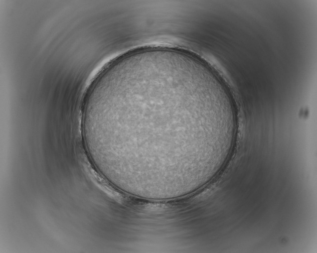 X0000114551232200911091148